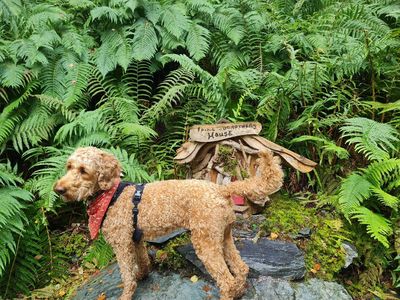 Loch Lomond Faerie Trail