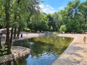 Sarzhin Yar