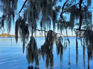 A. L. Anderson Park