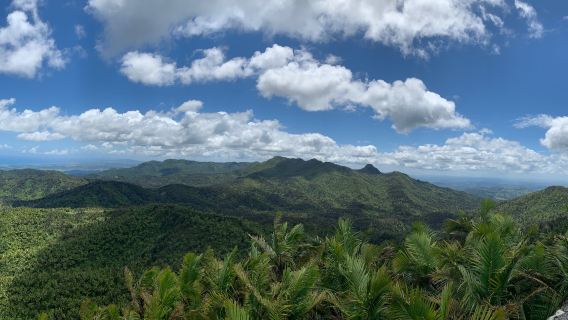 El Yunque National Forest