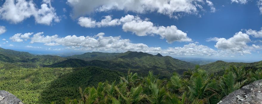 El Yunque National Forest