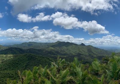 El Yunque National Forest