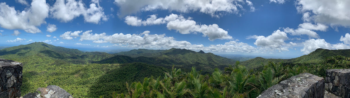 El Yunque National Forest