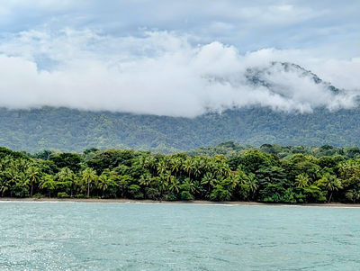 Bahia Aventuras