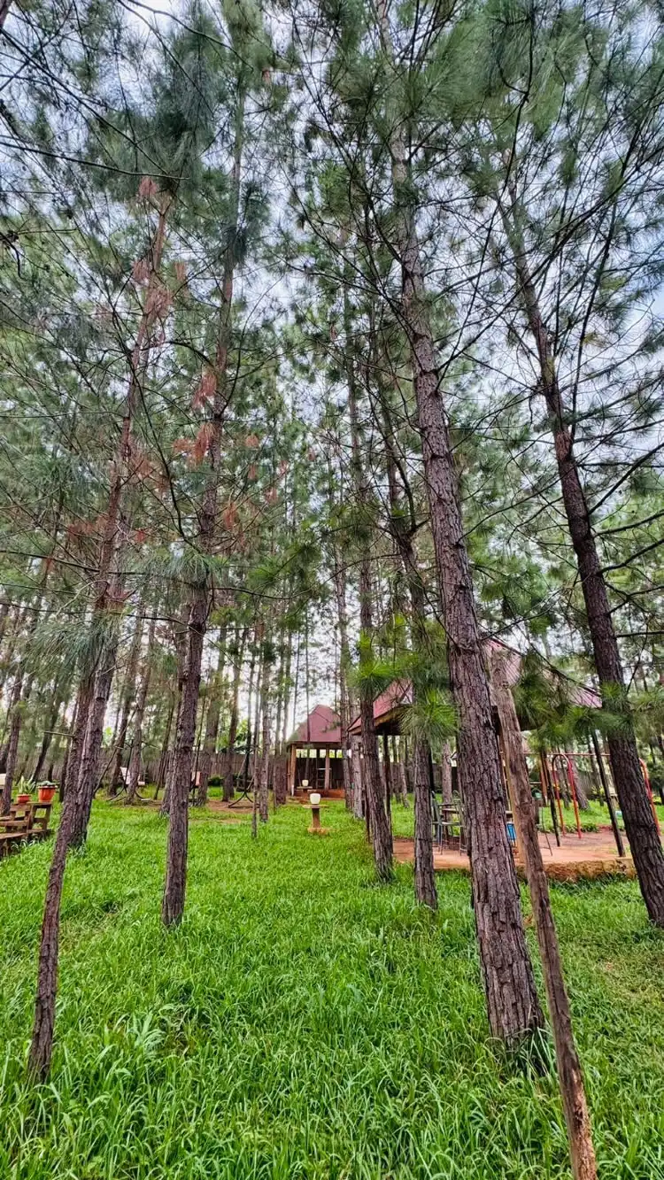 Hotels near Gombe Stream National Park