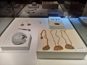 Didactic Museum Antonini (Museo Antonini)