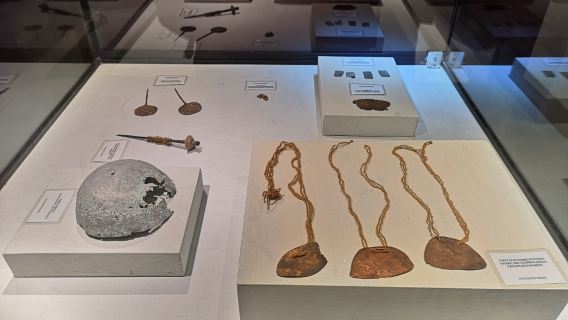 Didactic Museum Antonini (Museo Antonini)