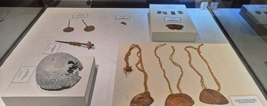 Didactic Museum Antonini (Museo Antonini)