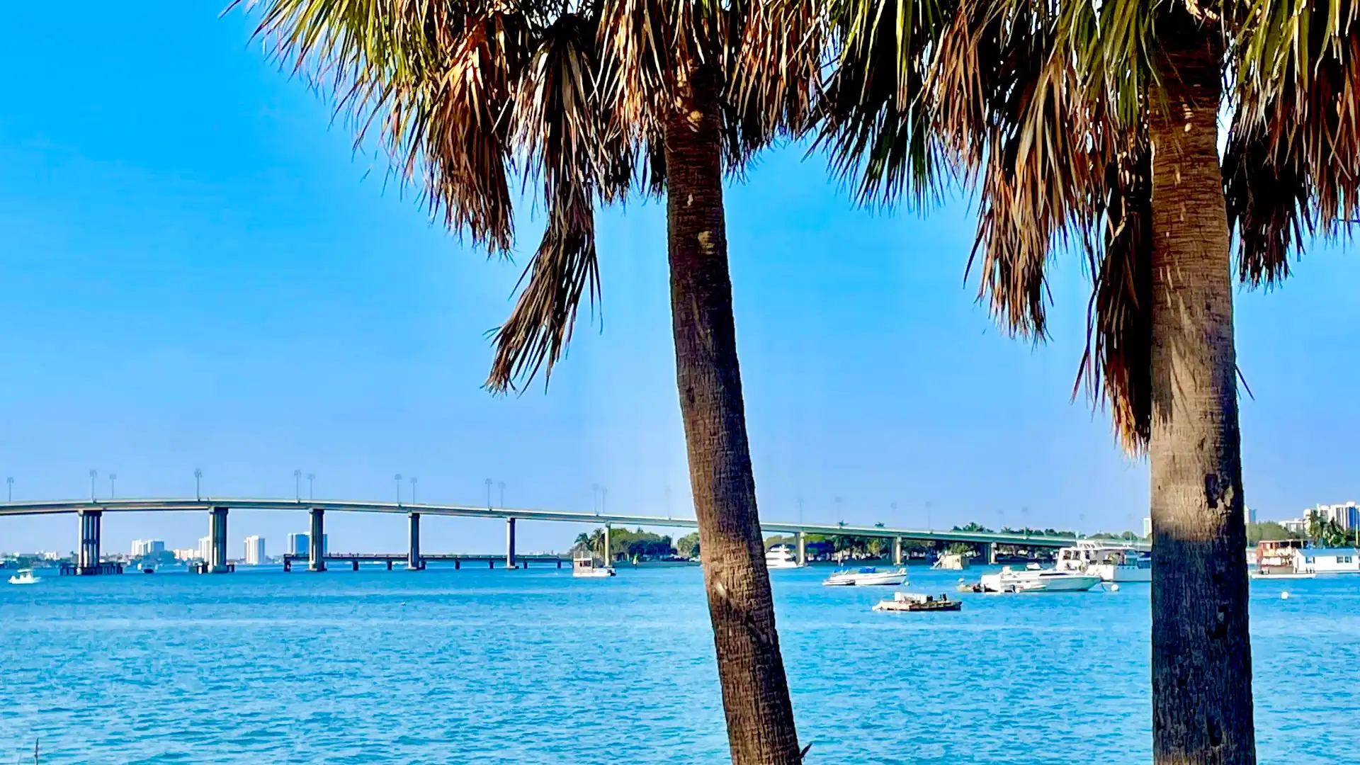 Hotels near Peanut Island