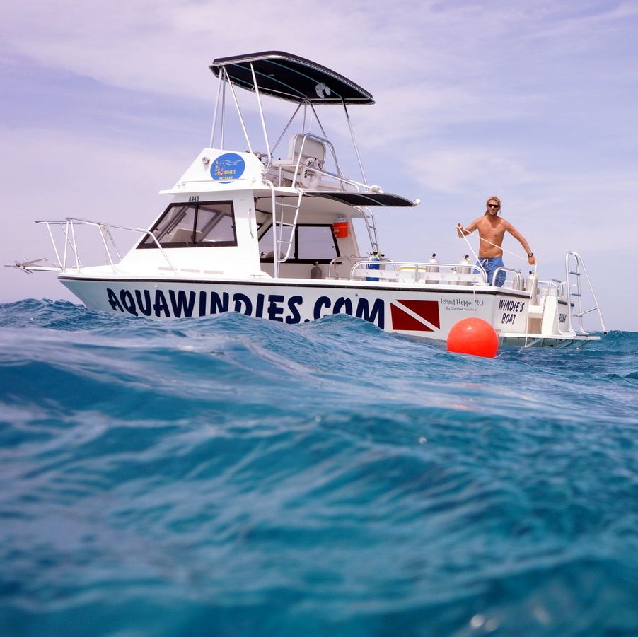 Aqua Windies