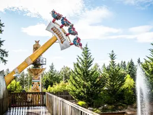 Wild Waves Theme and Water Park