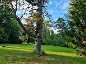 Schlosspark von Putbus