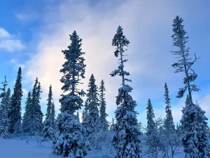 SkiStar, Norge