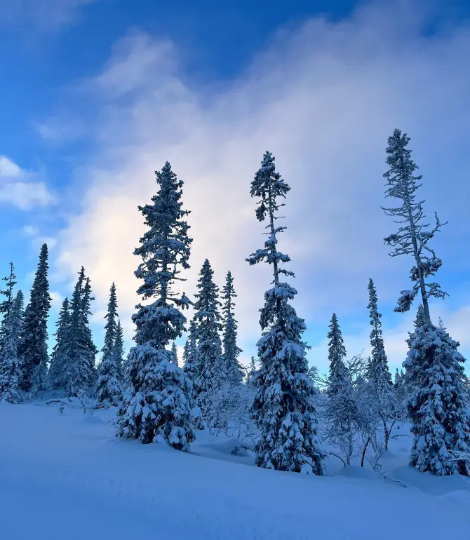 Trysil