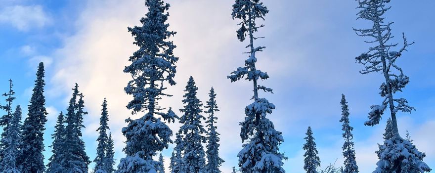 SkiStar, Norge