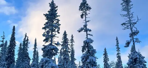 Hotels in Trysil