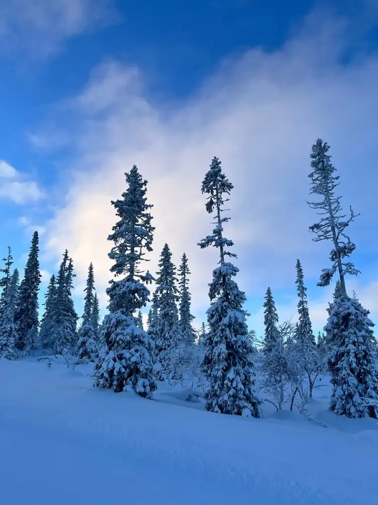 Trysil
