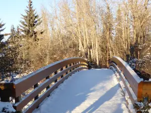 Bower Ponds