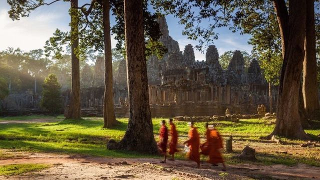 Grasshopper Adventures