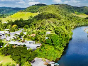 Crocodile Express - Greater Daintree Wildlife Cruises - Cruise 1 Daintree Village