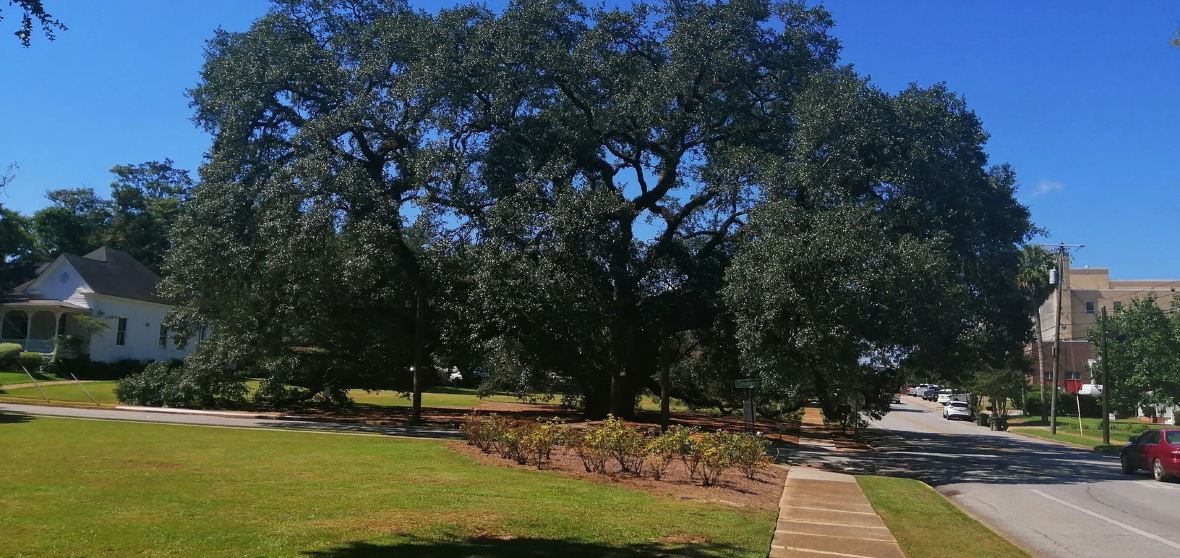 Thomasville Travel Guide 2026: Top Attractions, Things to do ...