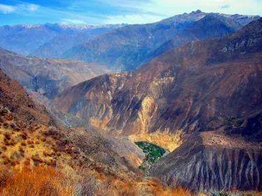 Oasis Sangalle