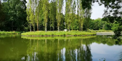Parc Rousseau