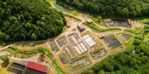 Taisetsu Fishing Pond