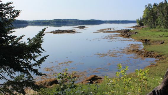 Cobscook Bay State Park