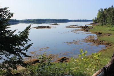 Cobscook Bay State Park