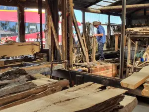 Morrisons Huon Pine Sawmill