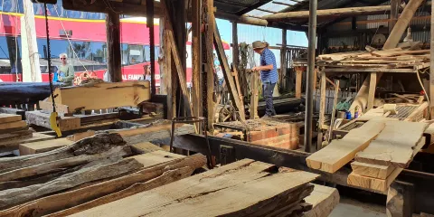 Morrisons Huon Pine Sawmill