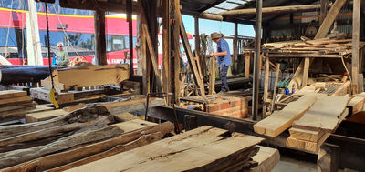 Morrisons Huon Pine Sawmill