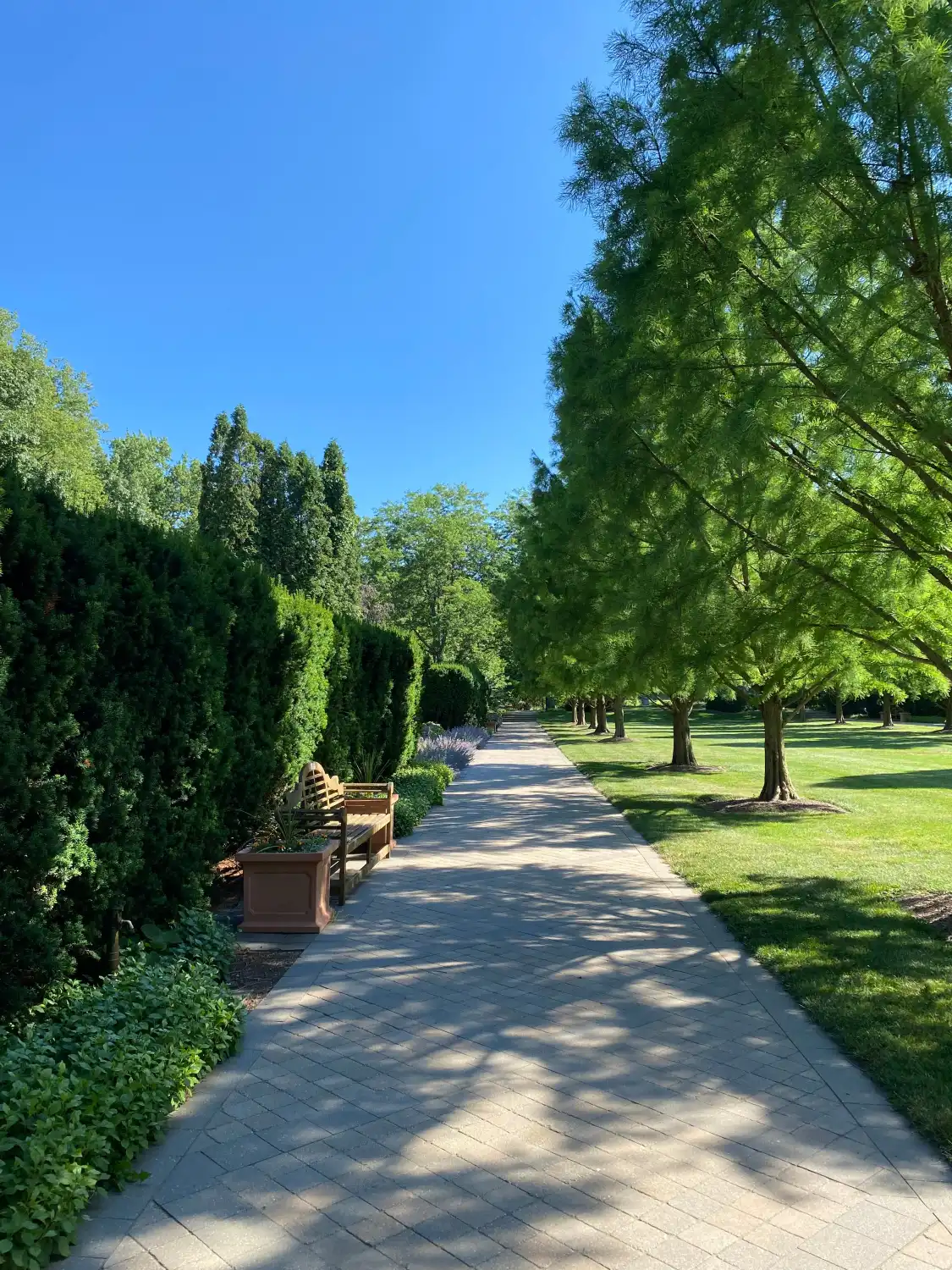 Các khách sạn gần Wegerzyn Gardens Metro Park
