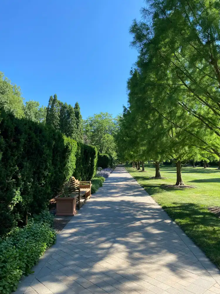 Hotels in der Nähe von Wegerzyn Gardens Metro Park