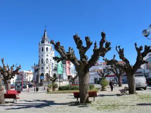 Saint Antonio Church (Reguengos de Monsaraz)