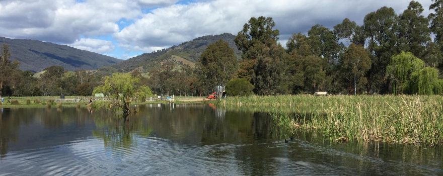 Eildon Trout Farm