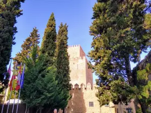 Ciudad Rodrigo Castle