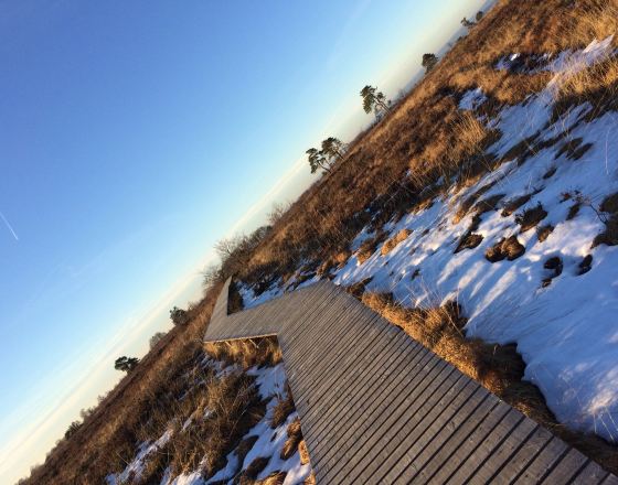 斯帕 自由行套票