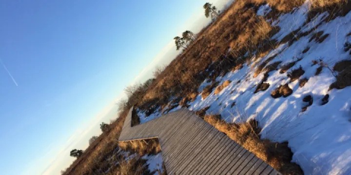 Domaine de Berinzenne