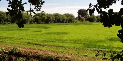 LWL-Museum fur Naturkunde