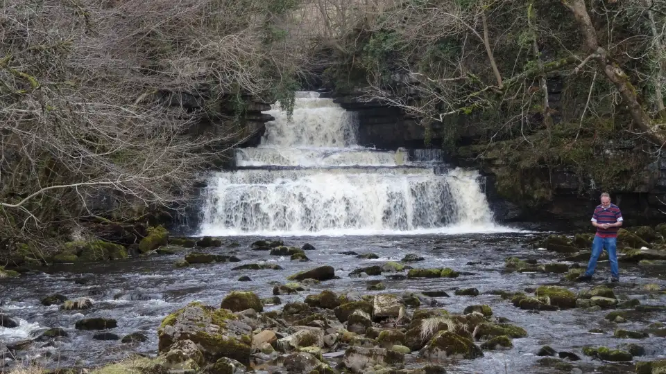 5_Cotter Force