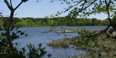 Bell's Neck Conservation Lands