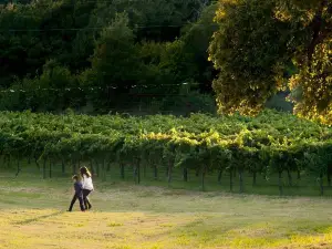 4R Ranch Vineyards and Winery