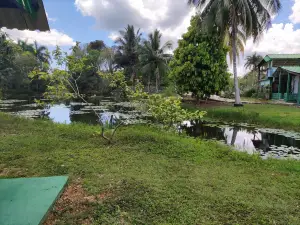 Entrance to Crocodile Farm