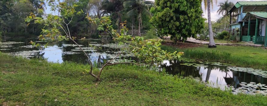 Entrance to Crocodile Farm