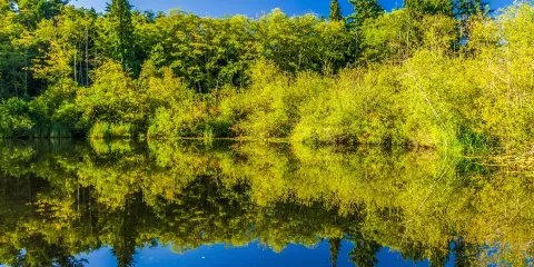Scriber Lake Park