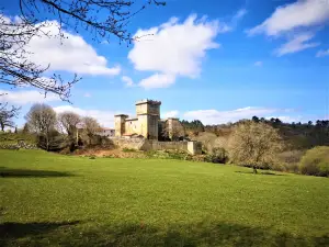 Castle of Pambre