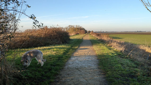 Ring's End Local Nature Reserve