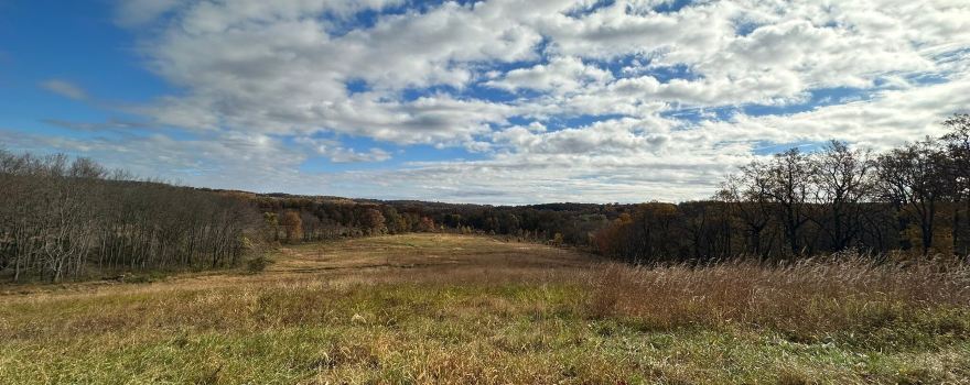 Owings Mills